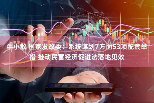 牛小散 国家发改委：系统谋划7方面53项配套举措 推动民营经济促进法落地见效