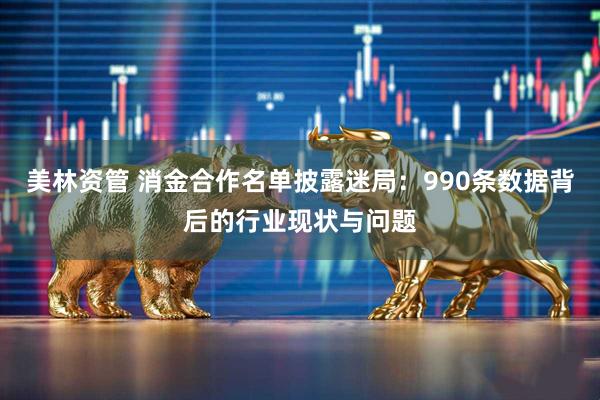 美林资管 消金合作名单披露迷局：990条数据背后的行业现状与问题