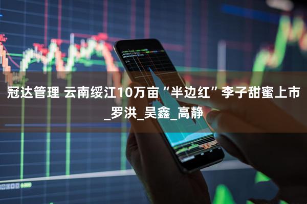 冠达管理 云南绥江10万亩“半边红”李子甜蜜上市_罗洪_吴鑫_高静