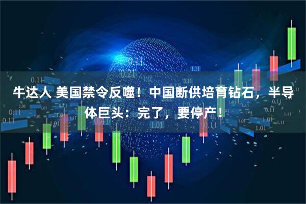 牛达人 美国禁令反噬!中国断供培育钻石,半导体巨头:完了,要停产!