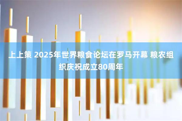 上上策 2025年世界粮食论坛在罗马开幕 粮农组织庆祝成立80周年