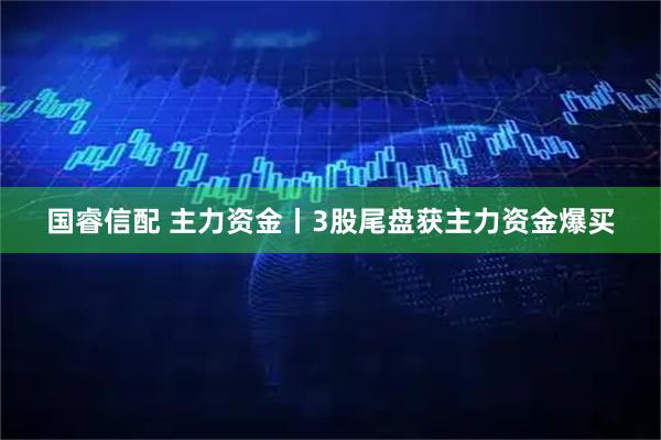 国睿信配 主力资金丨3股尾盘获主力资金爆买