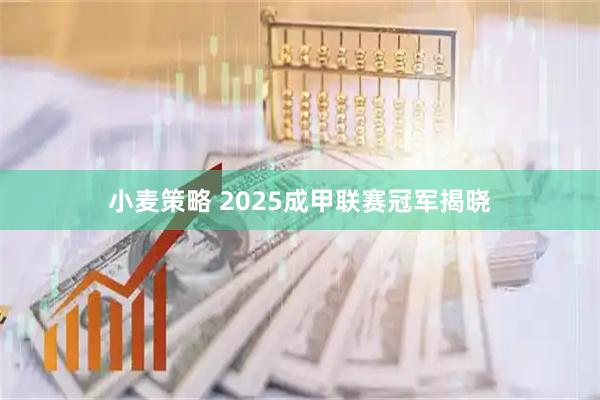 小麦策略 2025成甲联赛冠军揭晓