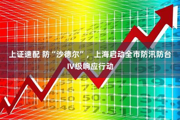 上证速配 防“沙德尔”，上海启动全市防汛防台Ⅳ级响应行动